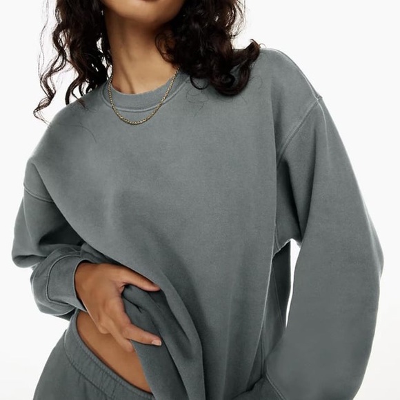 Aritzia Cozy Fleece Boyfriend Crew Sweatshirt - Picture 1 of 8